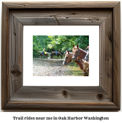 trail rides near me in Oak Harbor, Washington